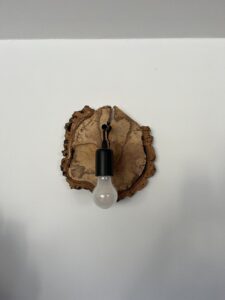 Applique cheÌne lieÌge 1